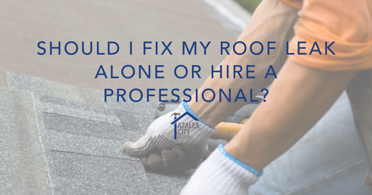 Should I Fix My Roof Leak Alone or Hire a Professional?