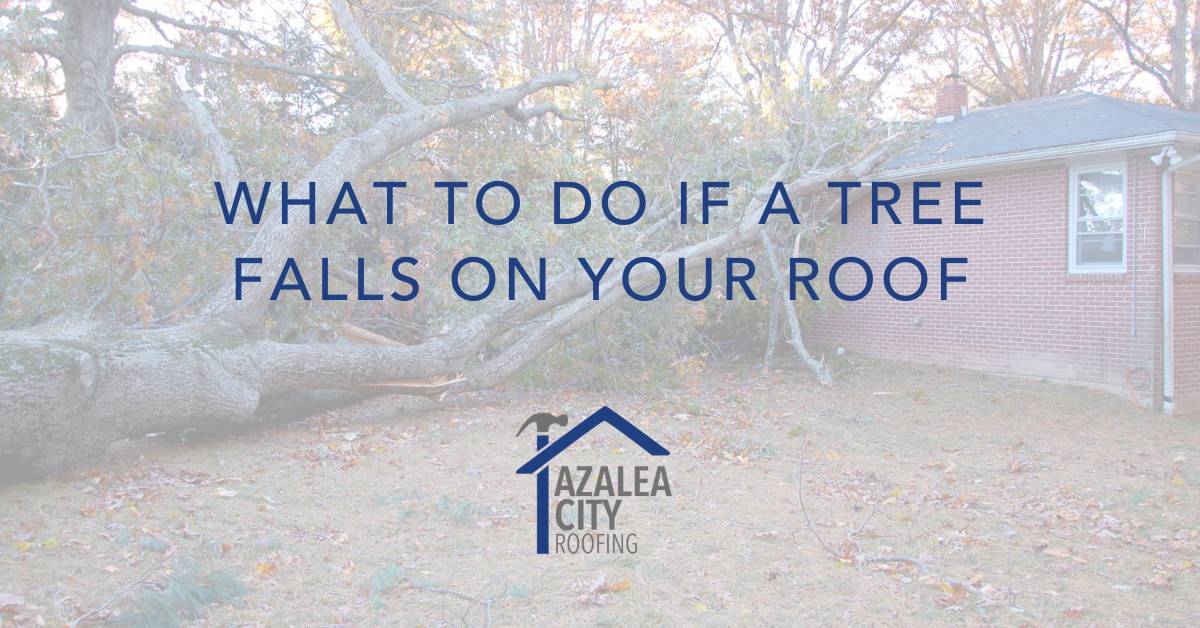 What to do if a Tree Falls on Your Roof